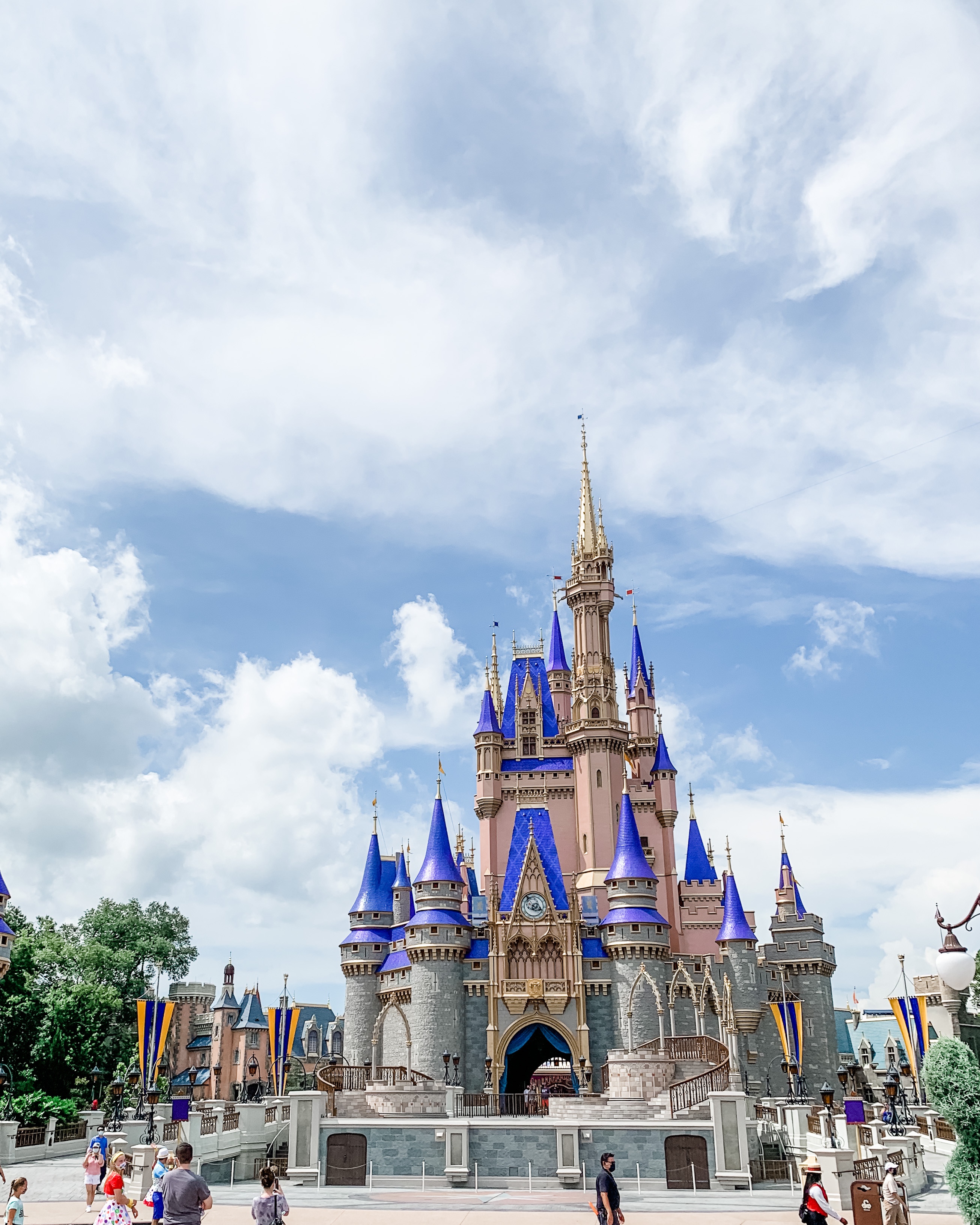 Reopening of Walt Disney World : What to know before you go