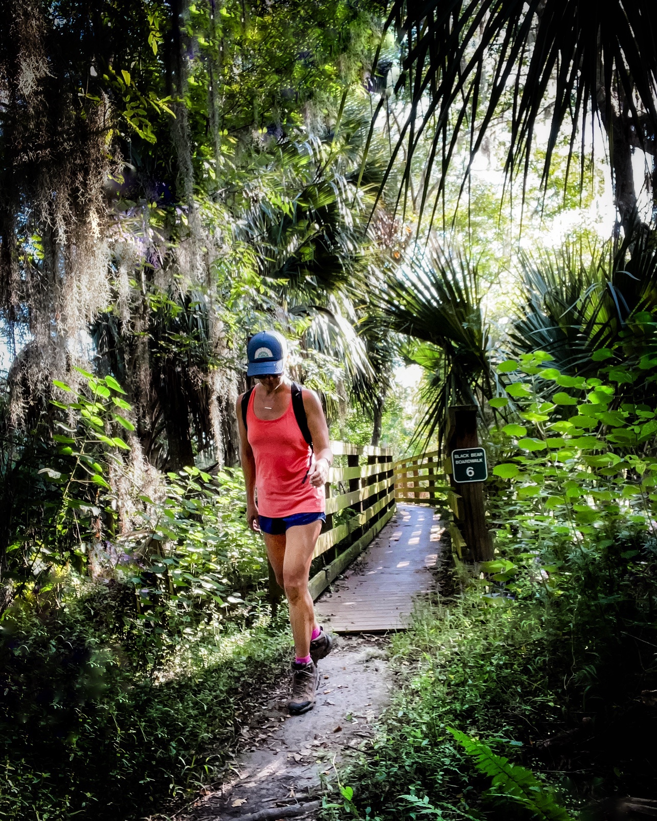 Hiking Central Florida’s Black Bear Wilderness Area Trail